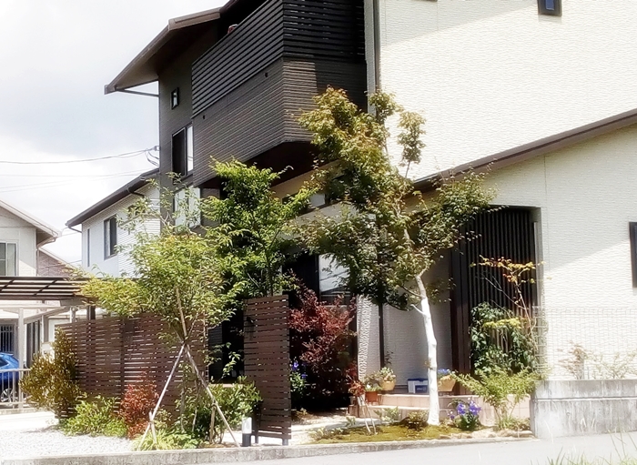岡山県でよく育つおすすめのシンボルツリー10選 外構ドットプロ